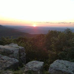 Meet your Posher, Navarro